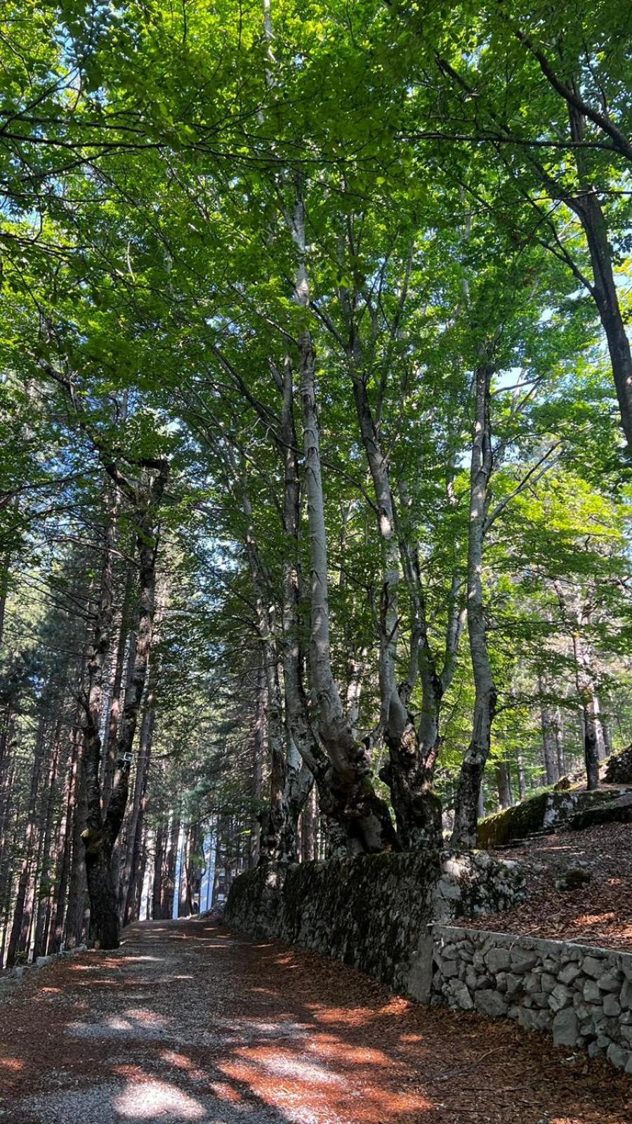 Vila Pepaj Razëm Esterno foto